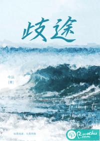 歧途封面