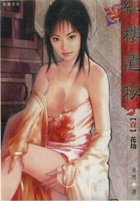 红楼遗秘封面