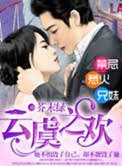 独家婚宠，总裁的再婚甜妻封面