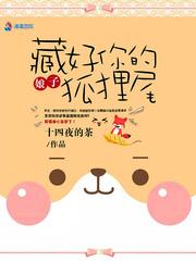 娘子藏好你的狐狸尾封面