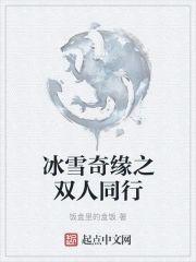 冰雪奇缘之双人同行封面