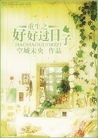 重生之好好过日子封面