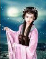 明月西楼封面