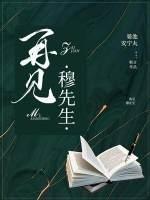 再见，穆先生封面