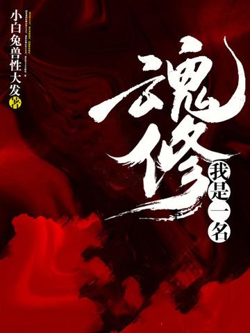 我是一名魂修封面