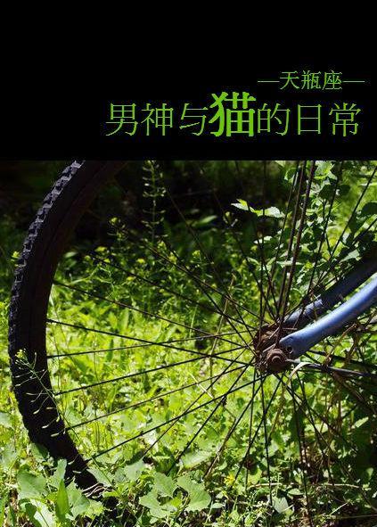 男神与猫的日常封面