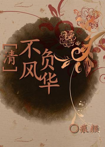 不负风华封面
