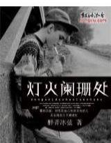灯火阑珊处封面