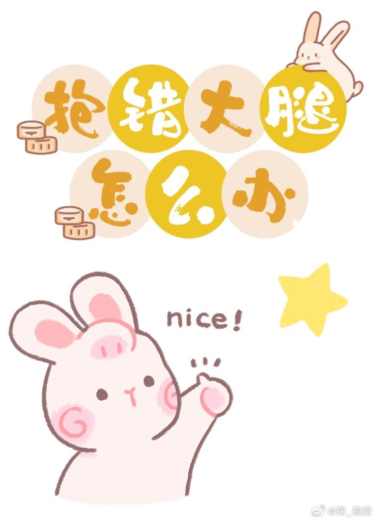 抱错大腿怎么办封面
