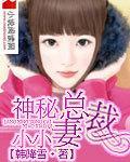 神秘总裁小小妻封面