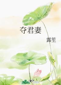 夺君妻封面