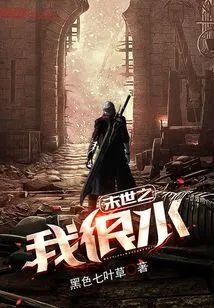 末世之我很水封面