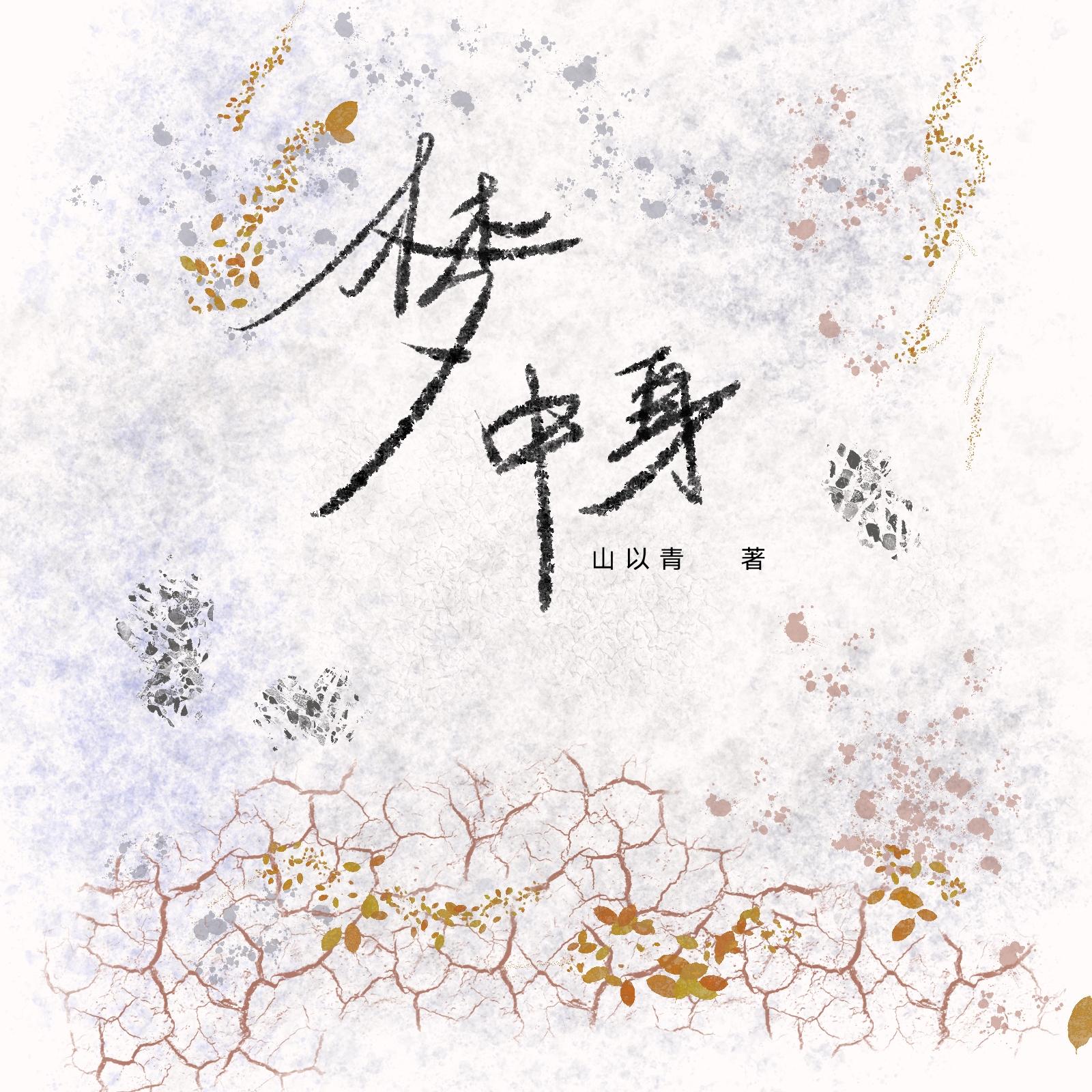 梦中身封面