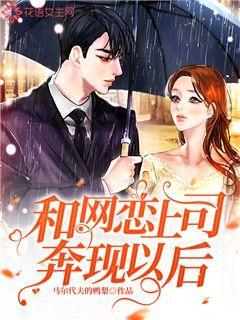 和网恋上司奔现以后封面