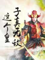 这个皇子真无敌封面
