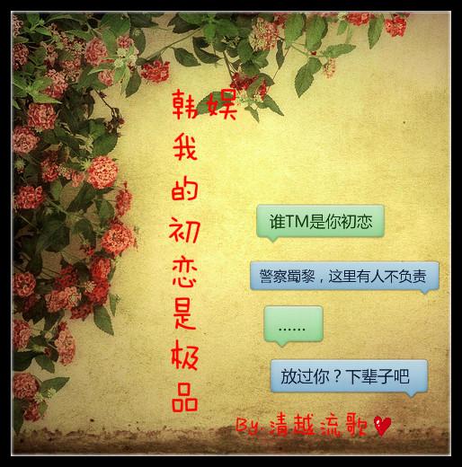 韩娱之我的初恋是极品封面