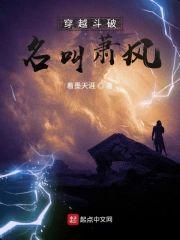 穿越斗破名叫萧风封面