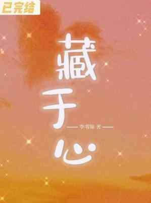 藏于心封面