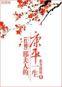 红楼邢夫人的康平一生封面