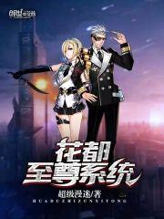 花都至尊系统封面