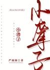 小聋子受决定摆烂任宠封面