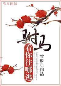 驸马，看你往哪逃封面
