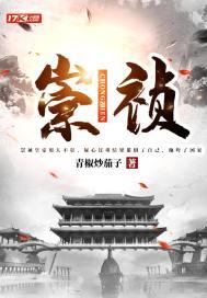 崇祯封面