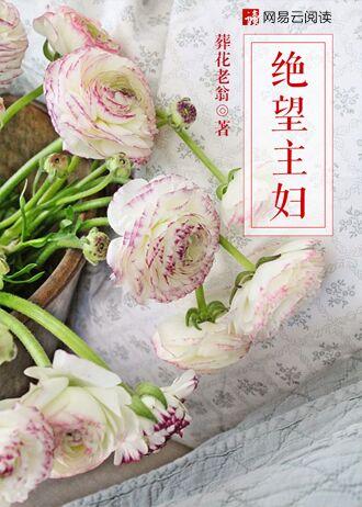 绝望主妇封面