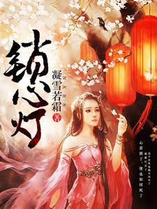 锁心灯封面