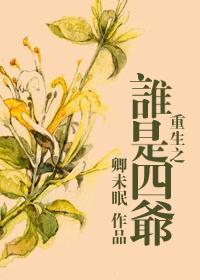 重生之谁是四爷封面