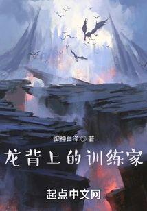龙背上的训练家封面