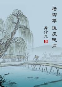 杨柳岸，晓风残月封面