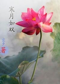 寒月如双封面