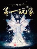 地球第一玩家封面