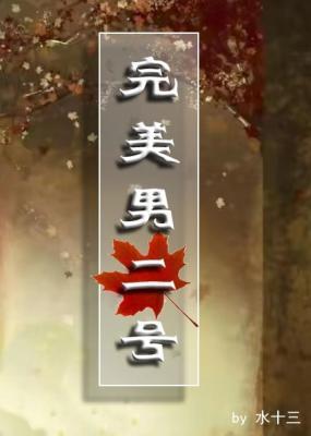 完美男二号封面
