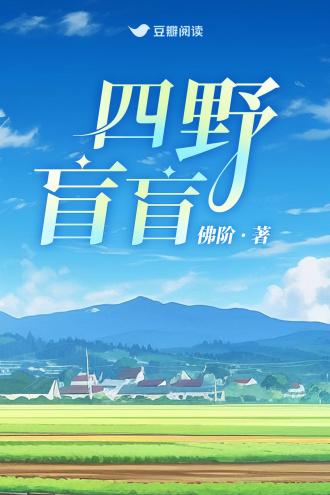 四野盲盲封面