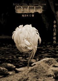 诡夏蝉鸣封面