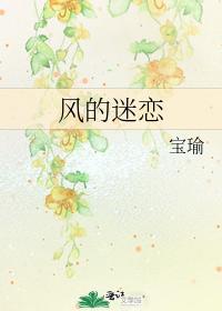 风的迷恋封面