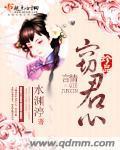 窃君心封面