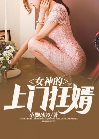 废婿归来陈华杨紫曦封面