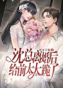 沈总离婚后给前太太跪了封面