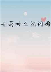与高岭之花闪婚封面
