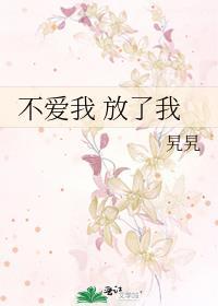 不爱我 放了我封面