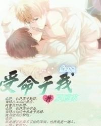 受命于我封面