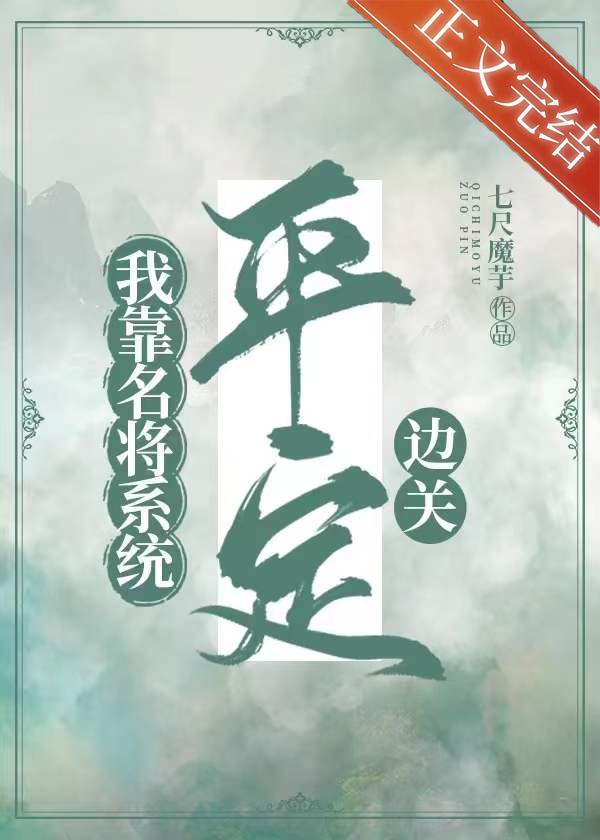 我靠名将系统平定边关封面