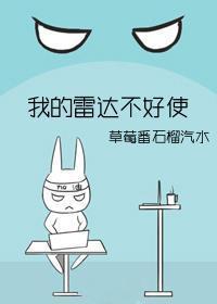 我的雷达不好使封面