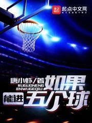 如果能进五个球封面