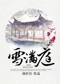 雪满庭封面