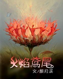 火焰鸢尾封面