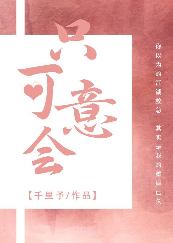 只可意会封面